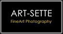 ART-SETTE