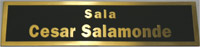 Sala Cesar Salamonde